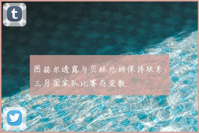 图赫尔透露与贝林厄姆保持联系，三月国家队比赛存变数