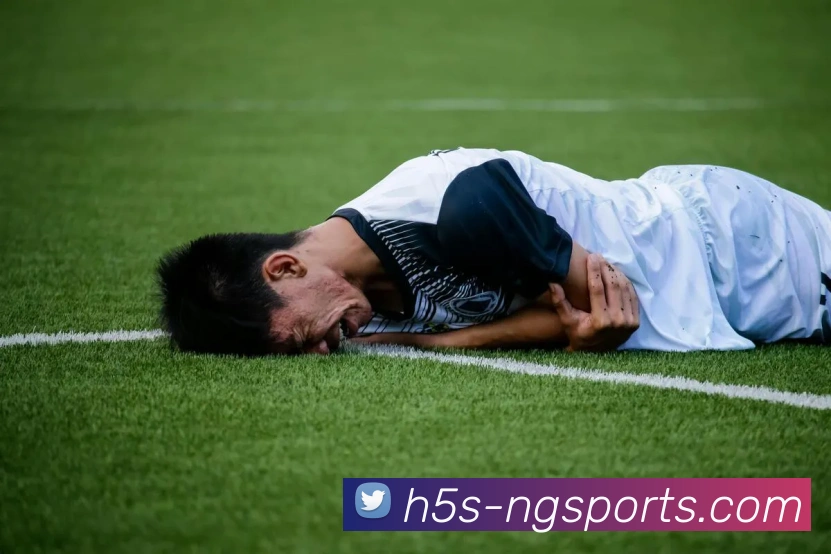 NG体育平台生态图