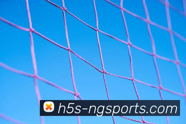 NG体育APP 封面图